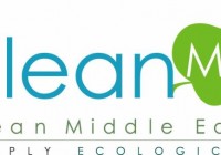 clean middle east